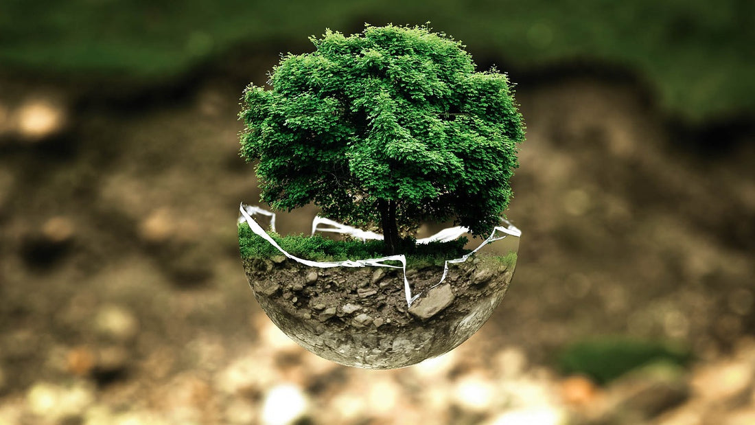 The Ultimate Guide to Being Zero Waste