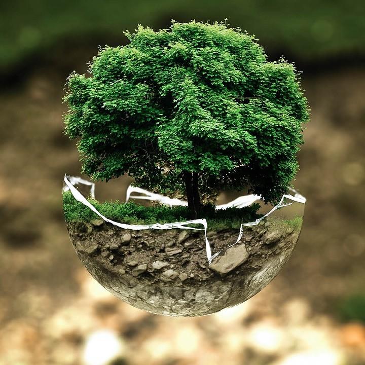 Our Green Mission - Going Green(er) | Kilted Suds