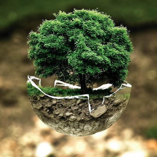 Our Green Mission - Going Green(er) | Kilted Suds