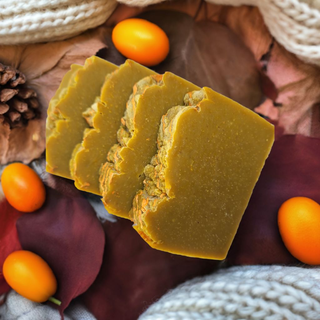 Fresh Pumpkin Bar Soap