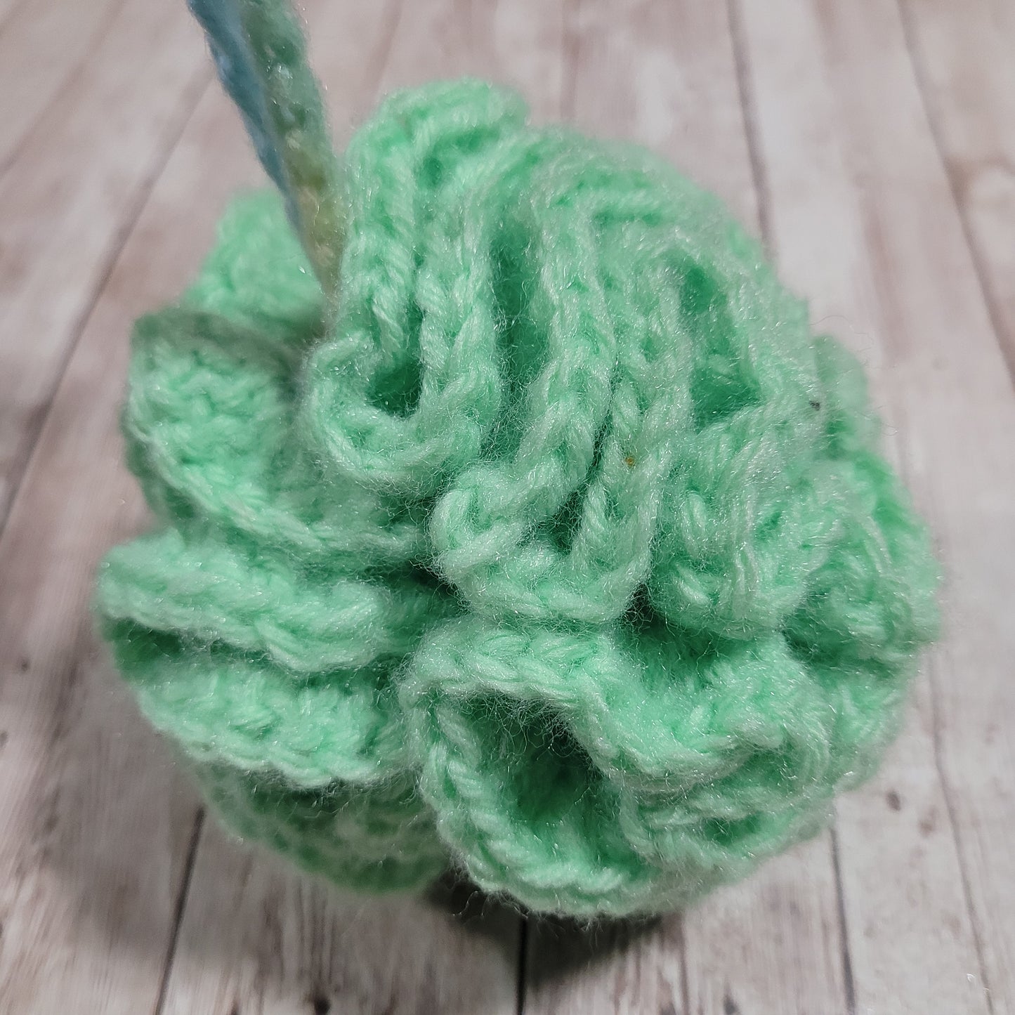 Green & Pastels Shower Puff Bath Sponge