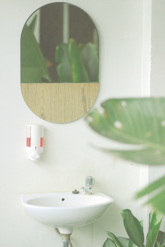 Bathroom Botanicals: How to Choose the Perfect Plant!