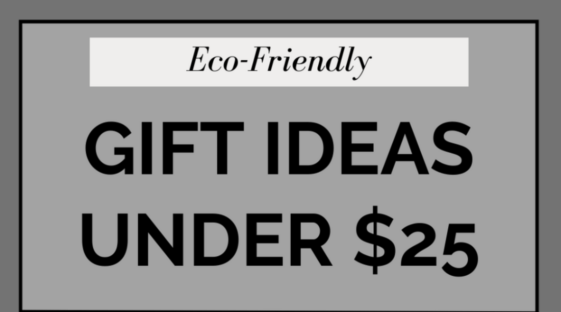 Eco-Friendly Gift Ideas Under $25