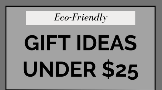 Eco-Friendly Gift Ideas Under $25