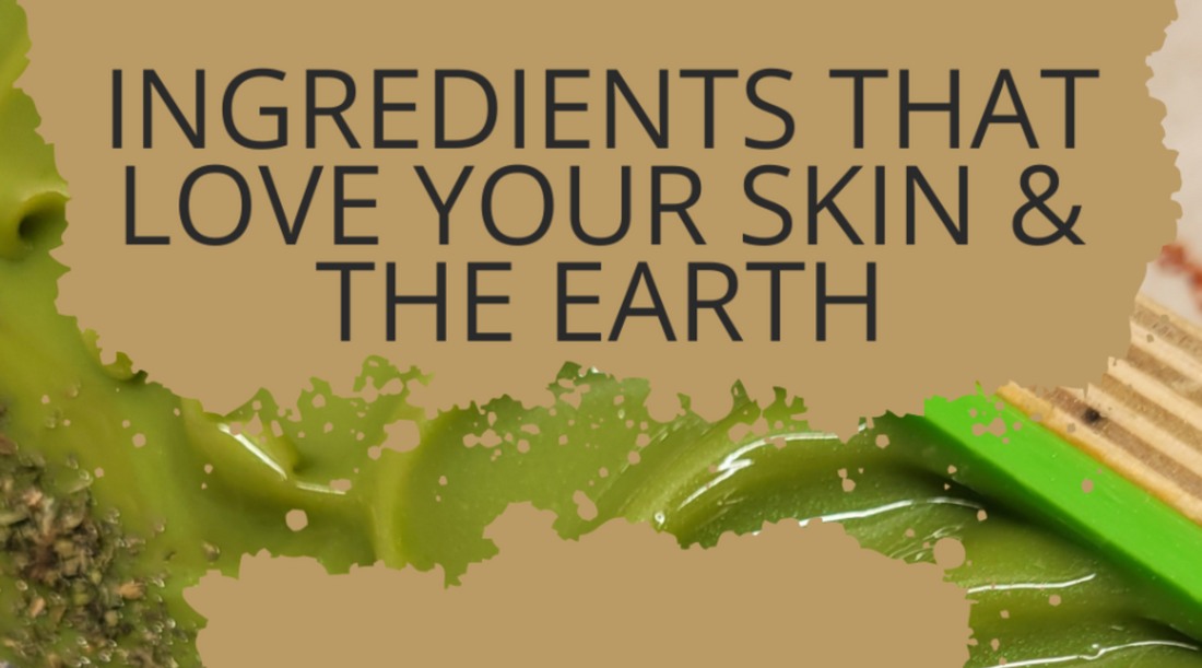 Ingredients That Love Your Skin & the Earth