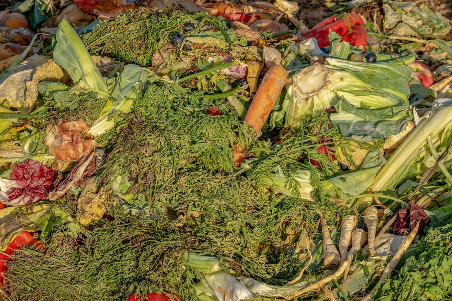The Ultimate Guide to Home Composting